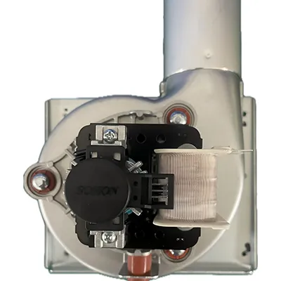 Combustion Fan