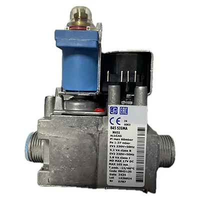 Italian SIT Proportional Valve
