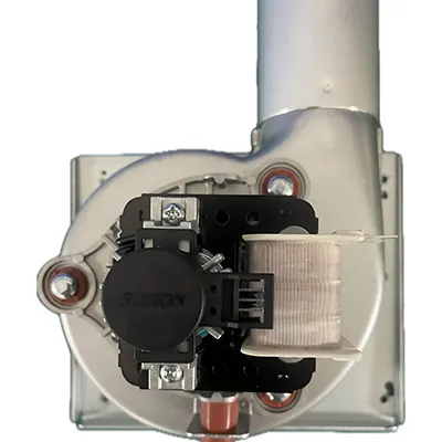 Combustion Fan